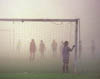 01fog
